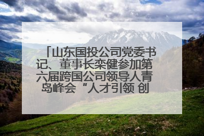 山东国投公司党委书记、董事长栾健参加第六届跨国公司领导人青岛峰会“人才引领 创新驱动”人力资源高质量发展对话会