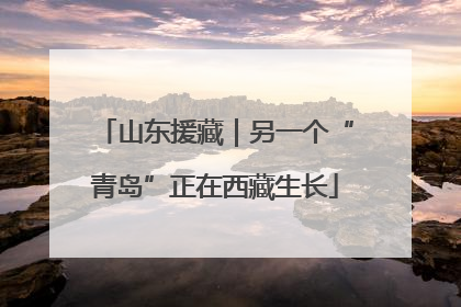 山东援藏｜另一个“青岛”正在西藏生长