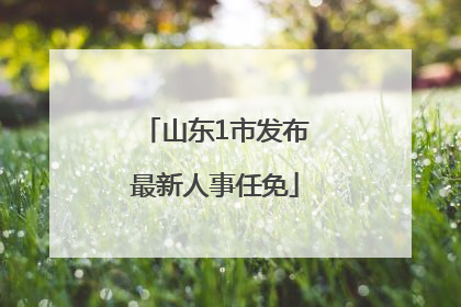 山东1市发布最新人事任免