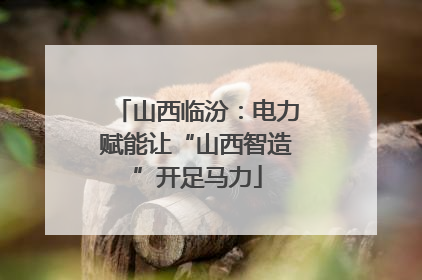 山西临汾：电力赋能让“山西智造”开足马力