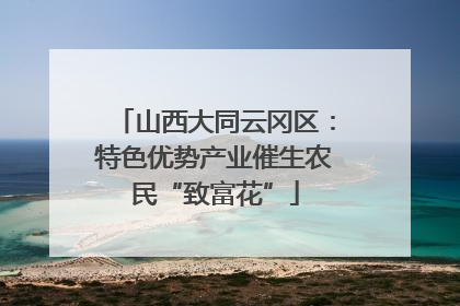 山西大同云冈区：特色优势产业催生农民“致富花”