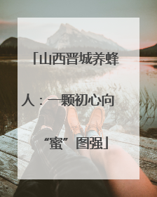 山西晋城养蜂人：一颗初心向“蜜”图强