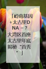 岭南基因+太古里DNA =？大湾区首座太古里年底揭秘“首秀”