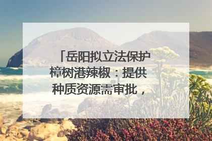 岳阳拟立法保护樟树港辣椒：提供种质资源需审批，违规最高罚5万