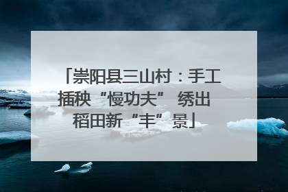 崇阳县三山村：手工插秧“慢功夫” 绣出稻田新“丰”景