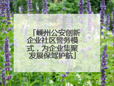 嵊州公安创新企业社区警务模式，为企业集聚发展保驾护航