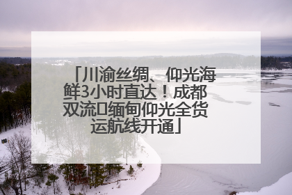 川渝丝绸、仰光海鲜3小时直达！成都双流⇌缅甸仰光全货运航线开通