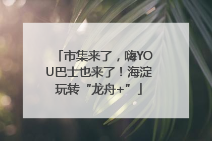 市集来了，嗨YOU巴士也来了！海淀玩转“龙舟+”