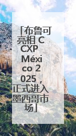 布鲁可亮相 CCXP México 2025，正式进入墨西哥市场