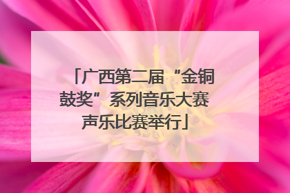 广西第二届“金铜鼓奖”系列音乐大赛声乐比赛举行