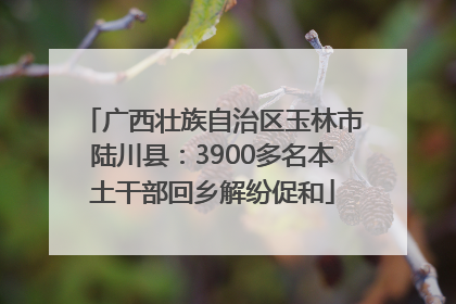 广西壮族自治区玉林市陆川县：3900多名本土干部回乡解纷促和