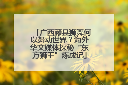 广西藤县狮舞何以舞动世界？海外华文媒体探秘“东方狮王”炼成记