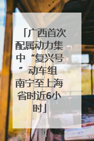 广西首次配属动力集中“复兴号”动车组 南宁至上海省时近6小时