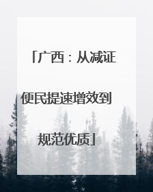 广西：从减证便民提速增效到规范优质
