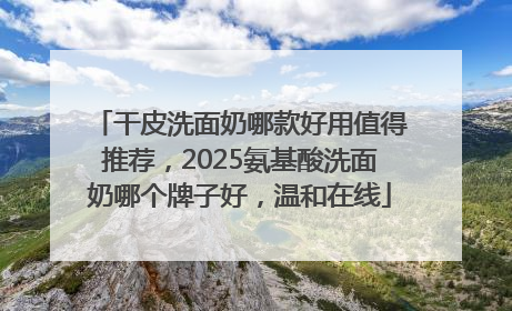 干皮洗面奶哪款好用值得推荐，2025氨基酸洗面奶哪个牌子好，温和在线