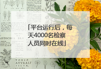 平台运行后，每天4000名检察人员同时在线