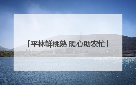 平林鲜桃熟 暖心助农忙