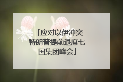 应对以伊冲突 特朗普提前退席七国集团峰会