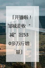 开镰啦！邹城麦收“减”出530多万斤增量