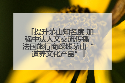 提升茅山知名度 加强中法人文交流传播 法国旅行商踩线茅山“道养文化产品”