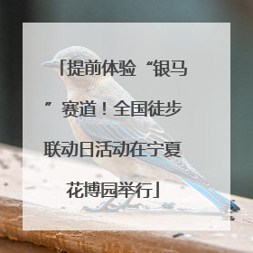 提前体验“银马”赛道！全国徒步联动日活动在宁夏花博园举行