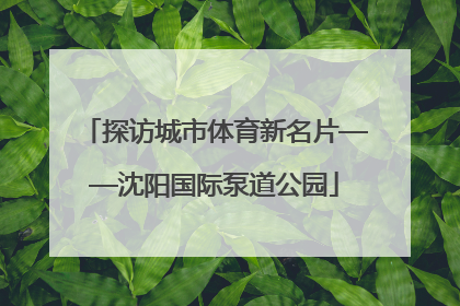 探访城市体育新名片——沈阳国际泵道公园
