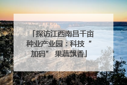 探访江西南昌千亩种业产业园：科技“加码” 果蔬飘香