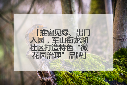 推窗见绿、出门入园，军山街龙湖社区打造特色“微花园治理”品牌