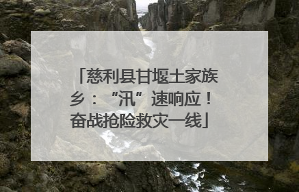慈利县甘堰土家族乡：“汛”速响应！奋战抢险救灾一线