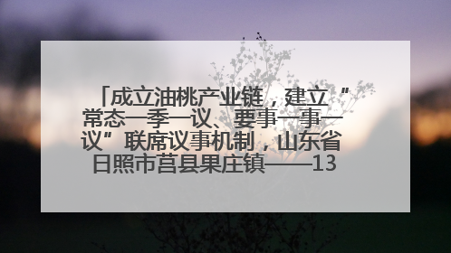 成立油桃产业链，建立“常态一季一议、要事一事一议”联席议事机制，山东省日照市莒县果庄镇——13个党小组“全周期”育果