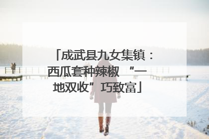 成武县九女集镇：西瓜套种辣椒 “一地双收”巧致富