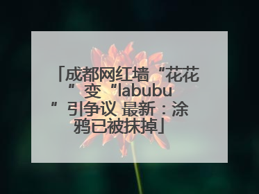 成都网红墙“花花”变“labubu”引争议 最新：涂鸦已被抹掉