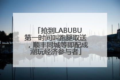 抢到LABUBU第一时间叫跑腿取送，顺丰同城等即配成潮玩经济参与者