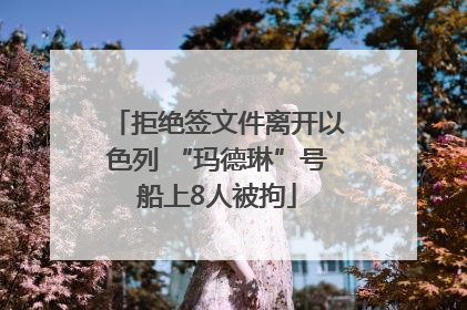 拒绝签文件离开以色列 “玛德琳”号船上8人被拘