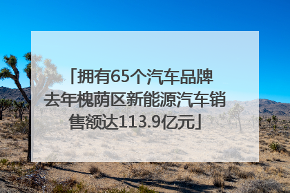 拥有65个汽车品牌 去年槐荫区新能源汽车销售额达113.9亿元
