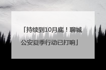 持续到10月底！聊城公安夏季行动已打响