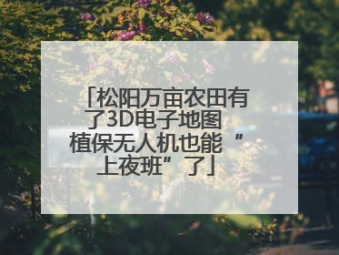 松阳万亩农田有了3D电子地图 植保无人机也能“上夜班”了