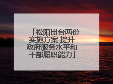松阳出台两份实施方案 提升政府服务水平和干部履职能力