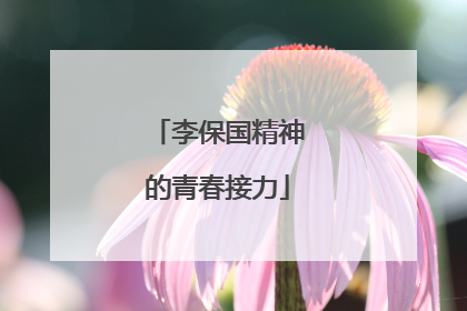 李保国精神的青春接力