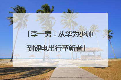 李一男：从华为少帅到锂电出行革新者