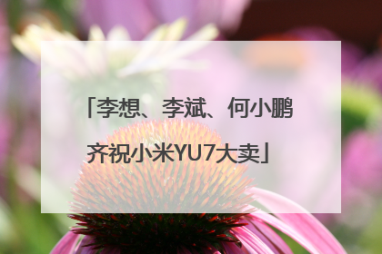 李想、李斌、何小鹏齐祝小米YU7大卖