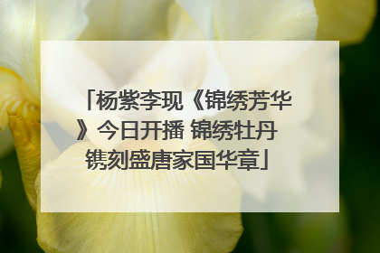 杨紫李现《锦绣芳华》今日开播 锦绣牡丹镌刻盛唐家国华章