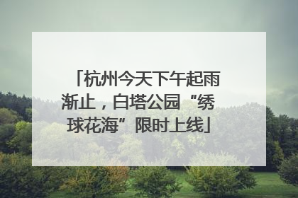 杭州今天下午起雨渐止，白塔公园“绣球花海”限时上线