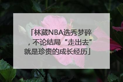 林葳NBA选秀梦碎，不论结局“走出去”就是珍贵的成长经历