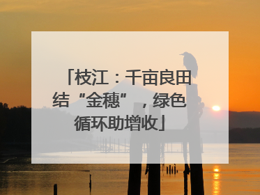 枝江：千亩良田结“金穗”，绿色循环助增收