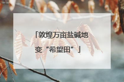 敦煌万亩盐碱地变“希望田”
