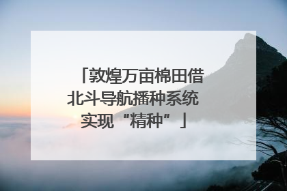 敦煌万亩棉田借北斗导航播种系统实现“精种”
