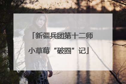 新疆兵团第十二师小草莓“破圈”记