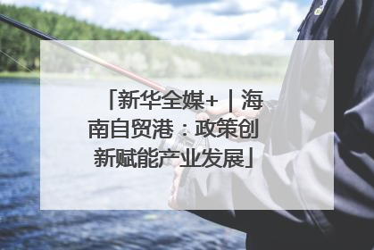 新华全媒+｜海南自贸港：政策创新赋能产业发展