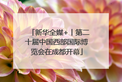 新华全媒+丨第二十届中国西部国际博览会在成都开幕